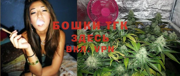 дмт Алзамай