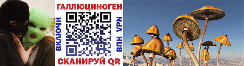 Псилоцибиновые грибы Psilocybe  купить наркоту  Лукоянов 